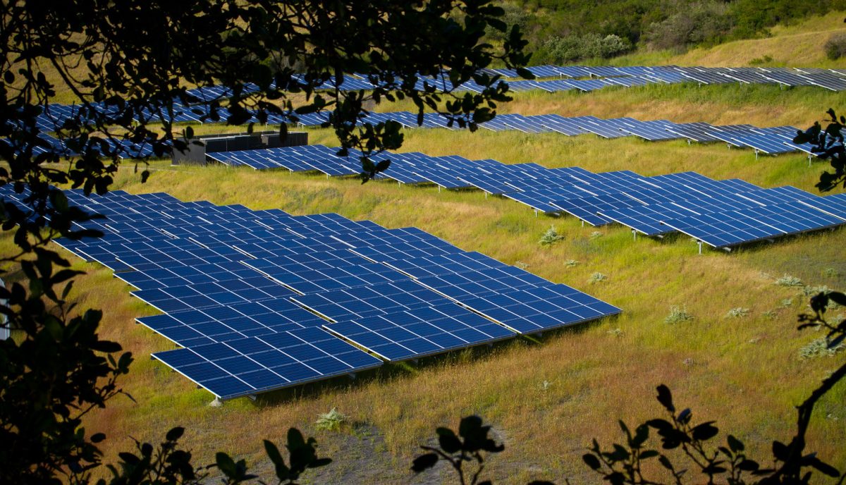 Sustainability Initiatives