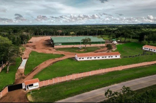 Microsoft Strikes Largest Biochar CDR Deal with Exomad Green