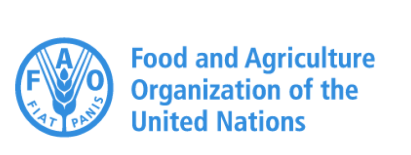FAO warns of ‘silent crisis’ as land degradation threatens billions